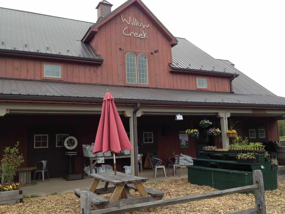 Field Trip to Willow Creek Orchards The Suburban Soapbox
