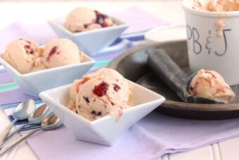 Peanut Butter and Jelly Ice Cream (and a Scoop Adventures Book Review)