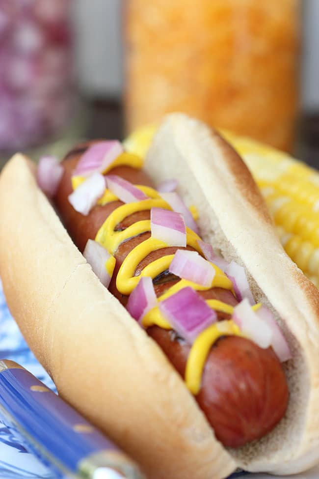 New York Style Hot Dog Onions | The Suburban Soapbox #hotdogbar #greatergrilling #hebrewnational