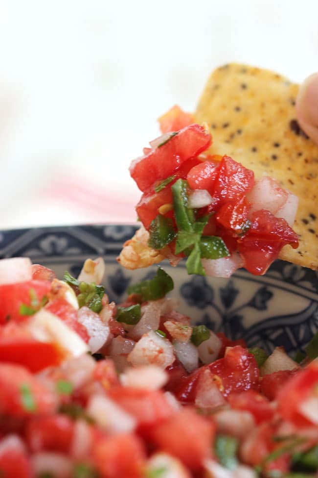 The Very Best Fresh Tomato Salsa | The Suburban Soapbox #bestsalsa