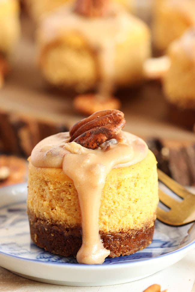 Mini Pumpkin cheesecake on a blue coaster with a pecan praline topping.