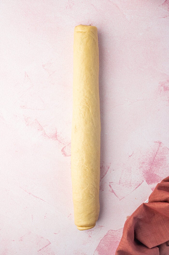 Overhead view of chocolate babka dough rolled into log