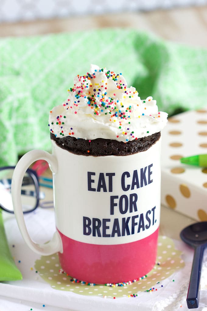 The Very Best Chocolate Mug Cake Recipe | TheSuburbanSoapbox.com
