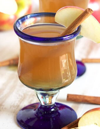 Apple Cider in a wine glass with apple slice and a cinnamon stick