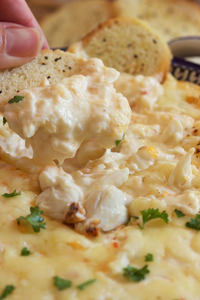 Super easy to make and perfect for any party, this is the BEST Hot Crab Dip recipe ever. | TheSuburbanSoapbox.com