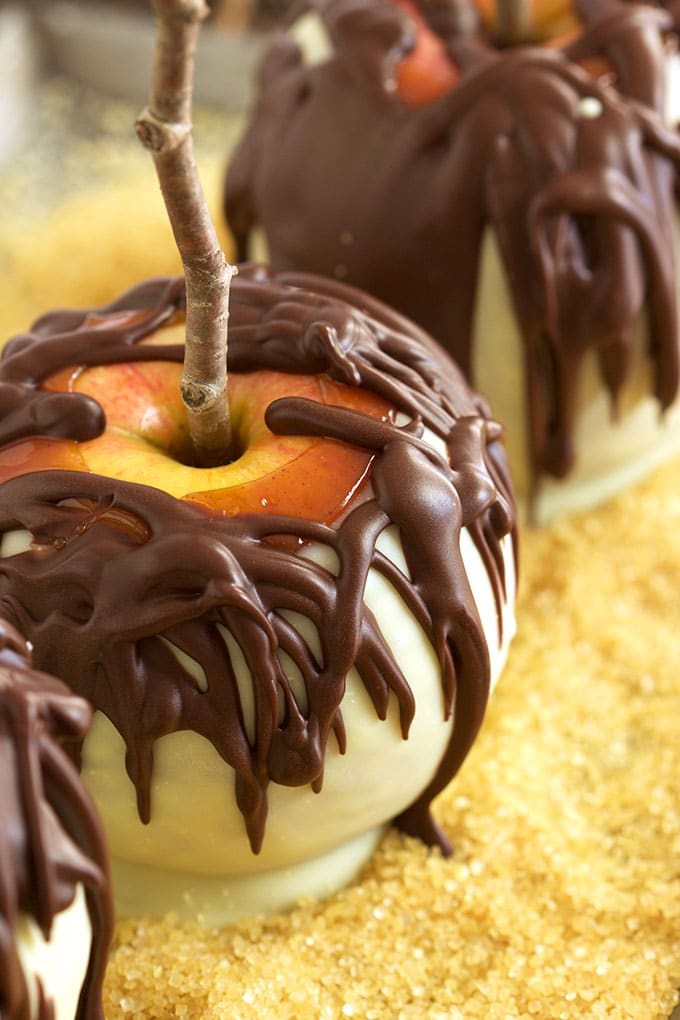 A fun fall treat for the holidays, Chocolate Covered Pumpkin Spice Caramel Apples are easy to make and festive. TheSuburbanSoapbox.com