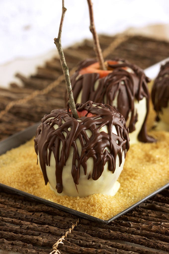 A fun fall treat for the holidays, Chocolate Covered Pumpkin Spice Caramel Apples are easy to make and festive. TheSuburbanSoapbox.com