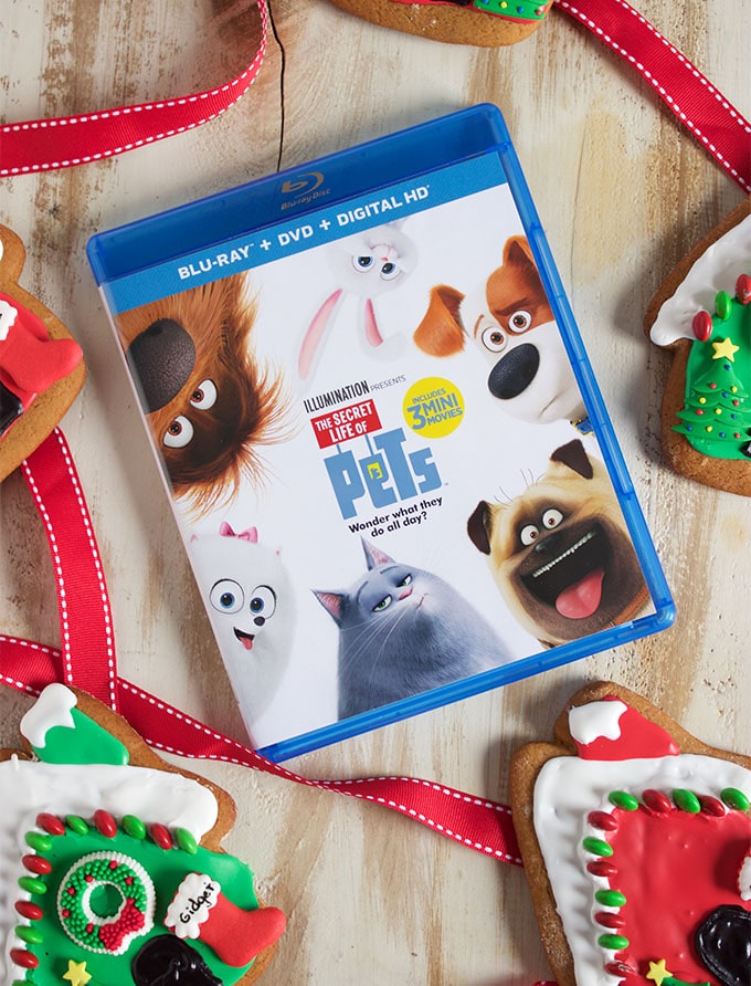So easy to make, these festive Gingerbread Dog Houses are a tasty and fun way to celebrate the holidays! | TheSuburbanSoapbox.com #SecretLifeofPets #PetPack