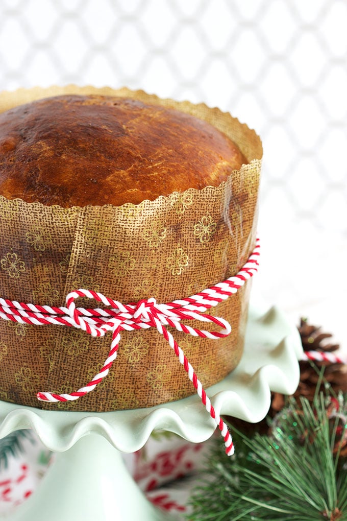 Panettone in a panettone paper mold with a red and white ribbon tied around it.