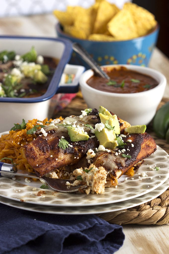 The BEST Chicken Mole Enchiladas ever with the Easiest Mole Sauce on the planet. | TheSuburbanSoapbox.com