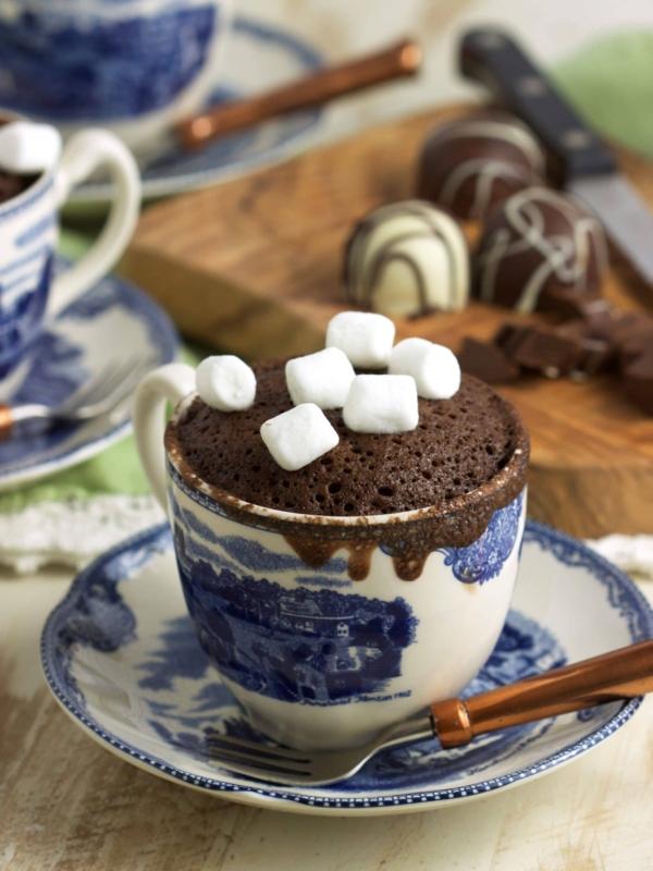 Hot Chocolate Mug Cake Recipe | TheSuburbanSoapbox.com