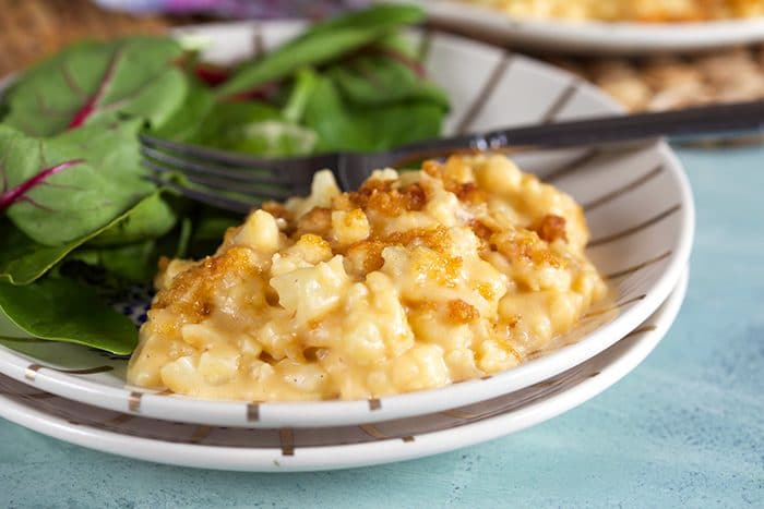 Cauliflower Mac and Cheese on a white plate with a salad.