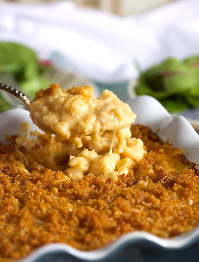 Close up of Baked Cauliflower Mac and Cheese recipe with crispy golden top and a spoonful of Mac and cheese over the dish.