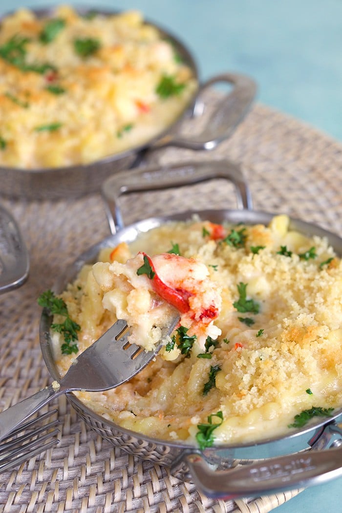 The Very Best Lobster Mac And Cheese Recipe - The Suburban Soapbox