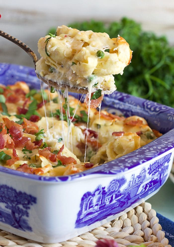 Close up of cheese pull shot from Tortellini al Forno in a blue and white casserole dish.