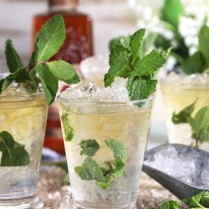 Mint julep cocktail in a glass julep cup with mint and crushed ice.