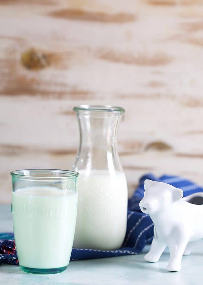 Glass of milk and a cow creamer.