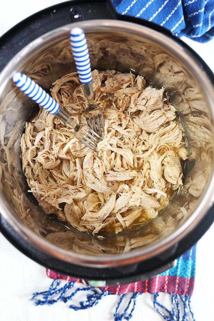 Shredded chicken in the bottom of an Instant Pot with two forks.