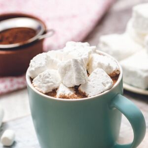 Fluffy Marshmallows in a mug of hot cocoa.