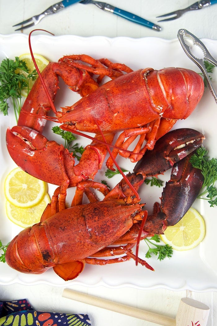 overhead shot of two cooked lobsters on a white platter with lemon and parsley.