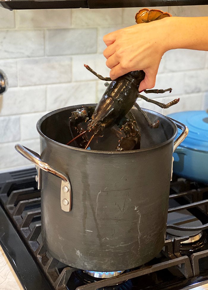 Live lobster being put into a large pot.