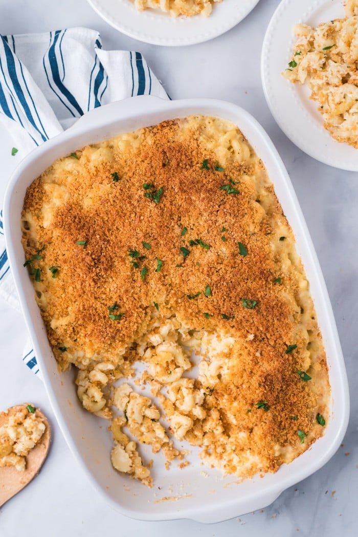 Five Cheese Baked Macaroni And Cheese - The Suburban Soapbox