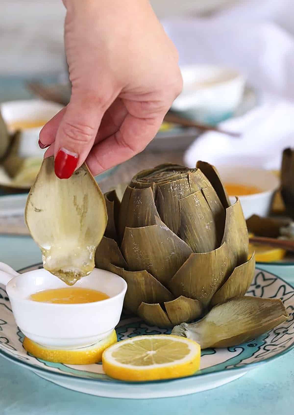 Instant Pot Artichoke on a plate with a hand dipping a leaf into melted butter.