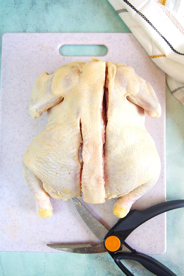 Backbone of a chicken being cut with kitchen shears.