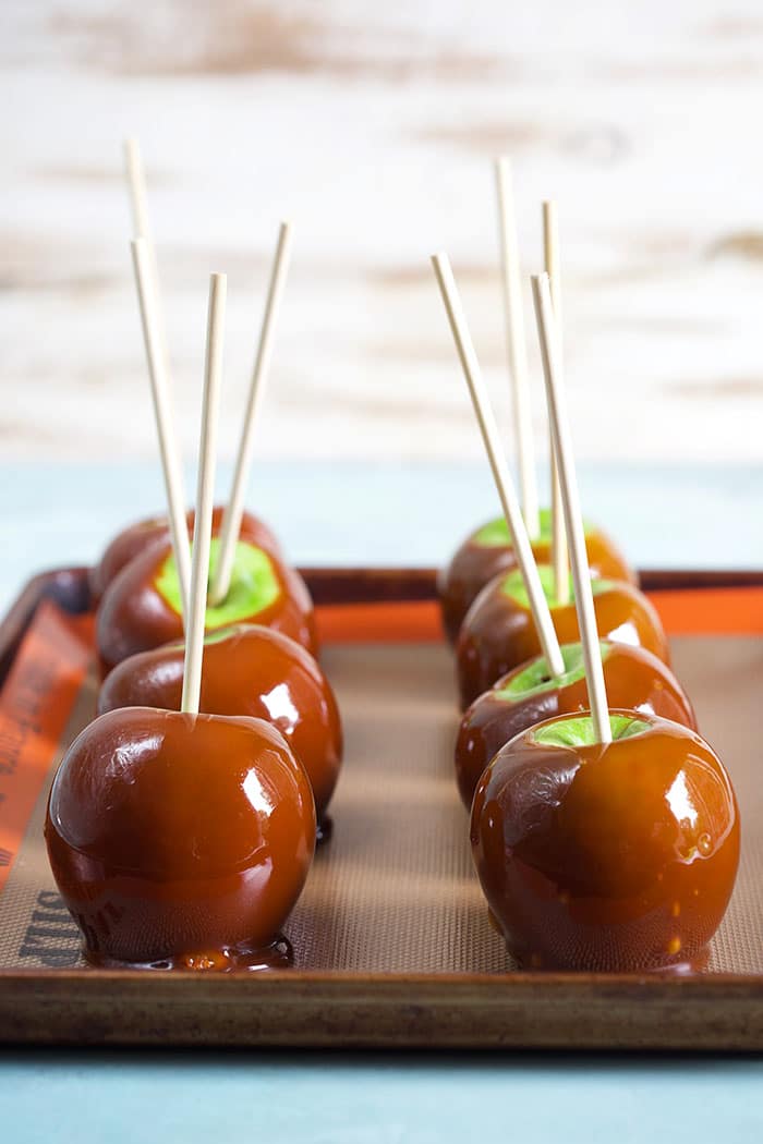 Caramel apples on a baking sheet on a blue background.