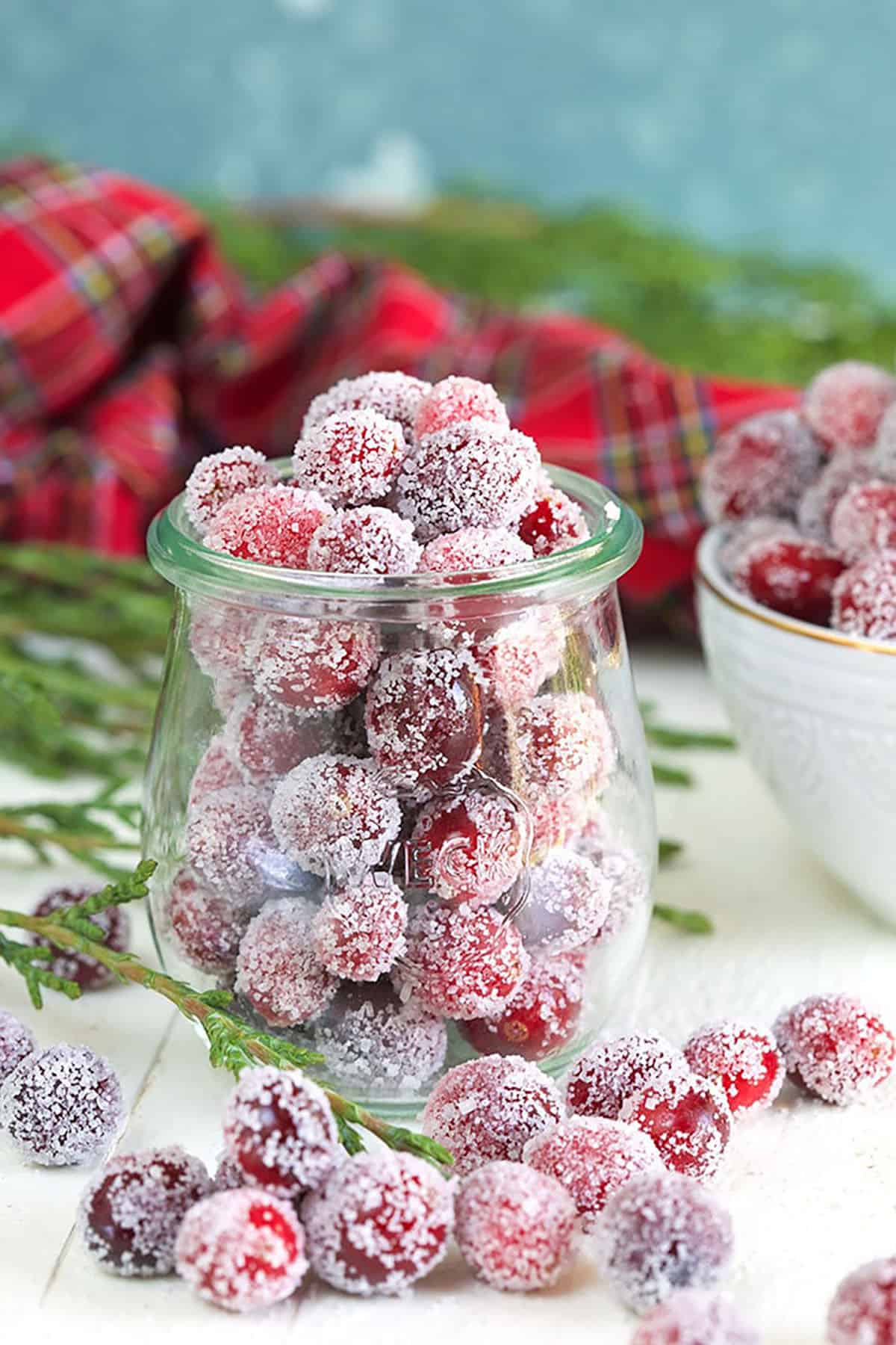 Sugared cranberries in a weck tulip jar with a blue background.