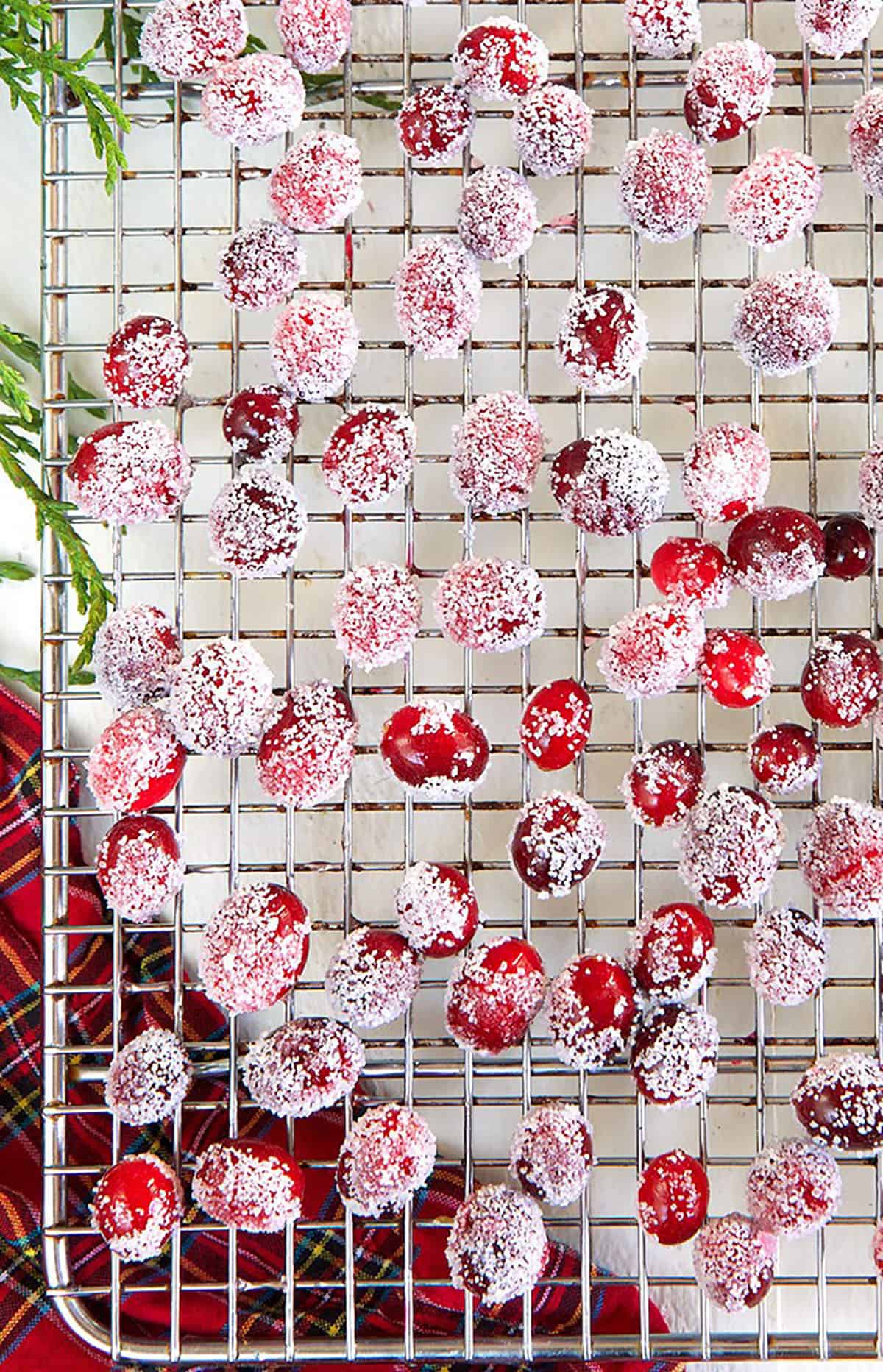 Sugared cranberries on a cooling rack on a white background.