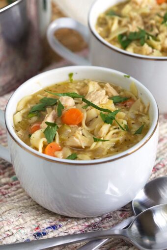 Rotisserie Chicken Noodle Soup - The Suburban Soapbox