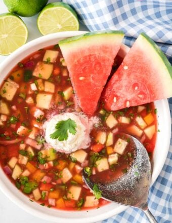 overhead shot of watermelon gazpacho with a spoon and two watermelon wedges
