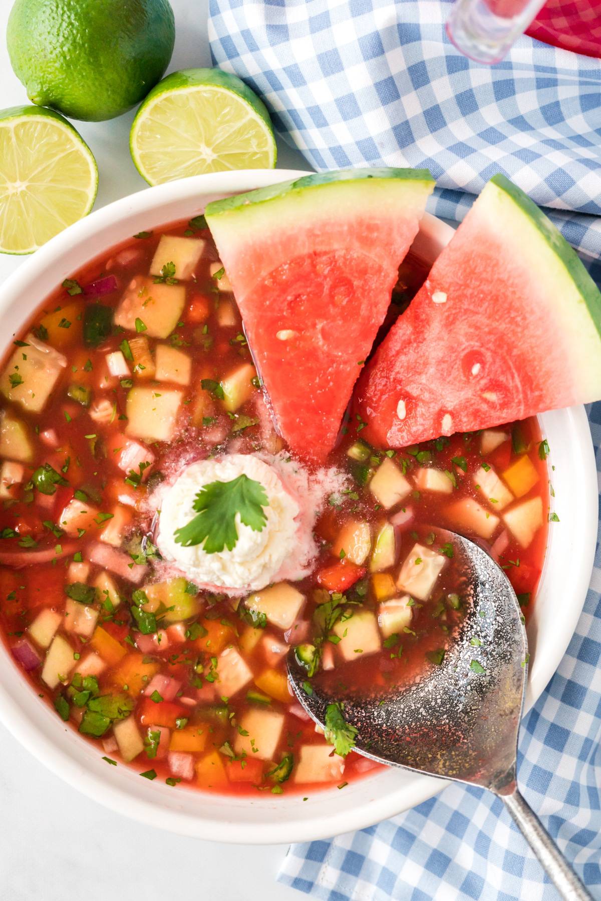 overhead shot of watermelon gazpacho with a spoon and two watermelon wedges