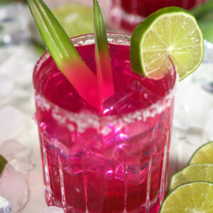 A vibrant pink margarita is in a salt rimmed glass.