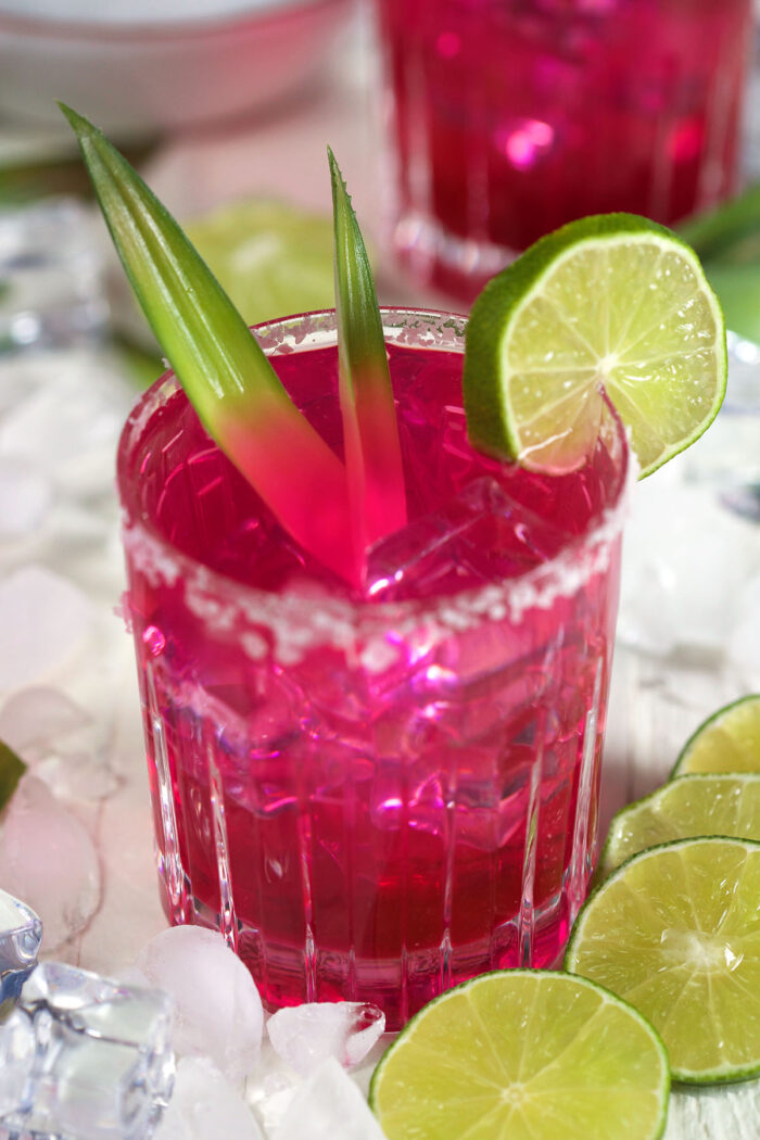 Prickly Pear Margarita The Suburban Soapbox