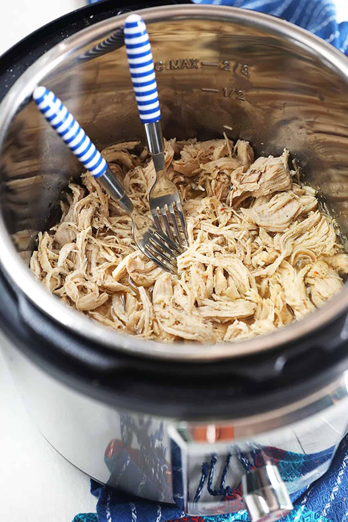 Shredded chicken in an Instant Pot with two forks.