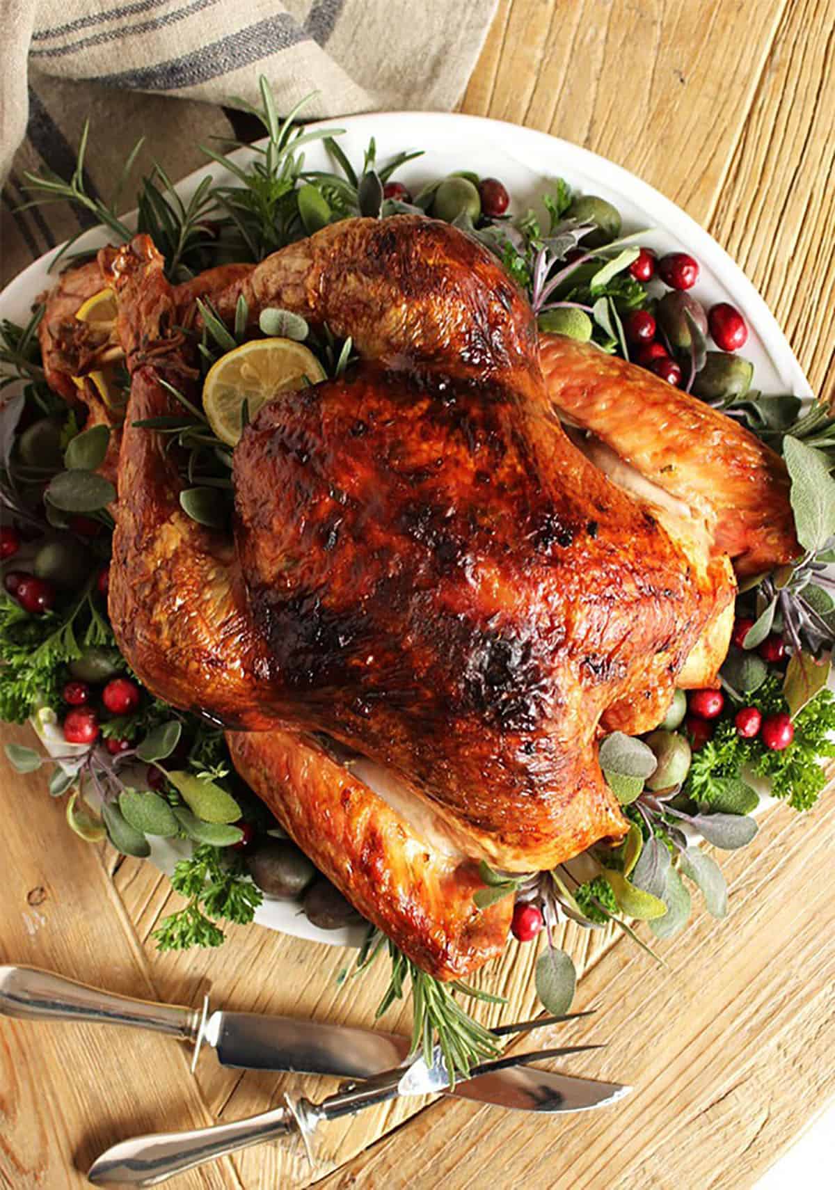 Roast Turkey for the holiday on a white platter with herbs and cranberries.