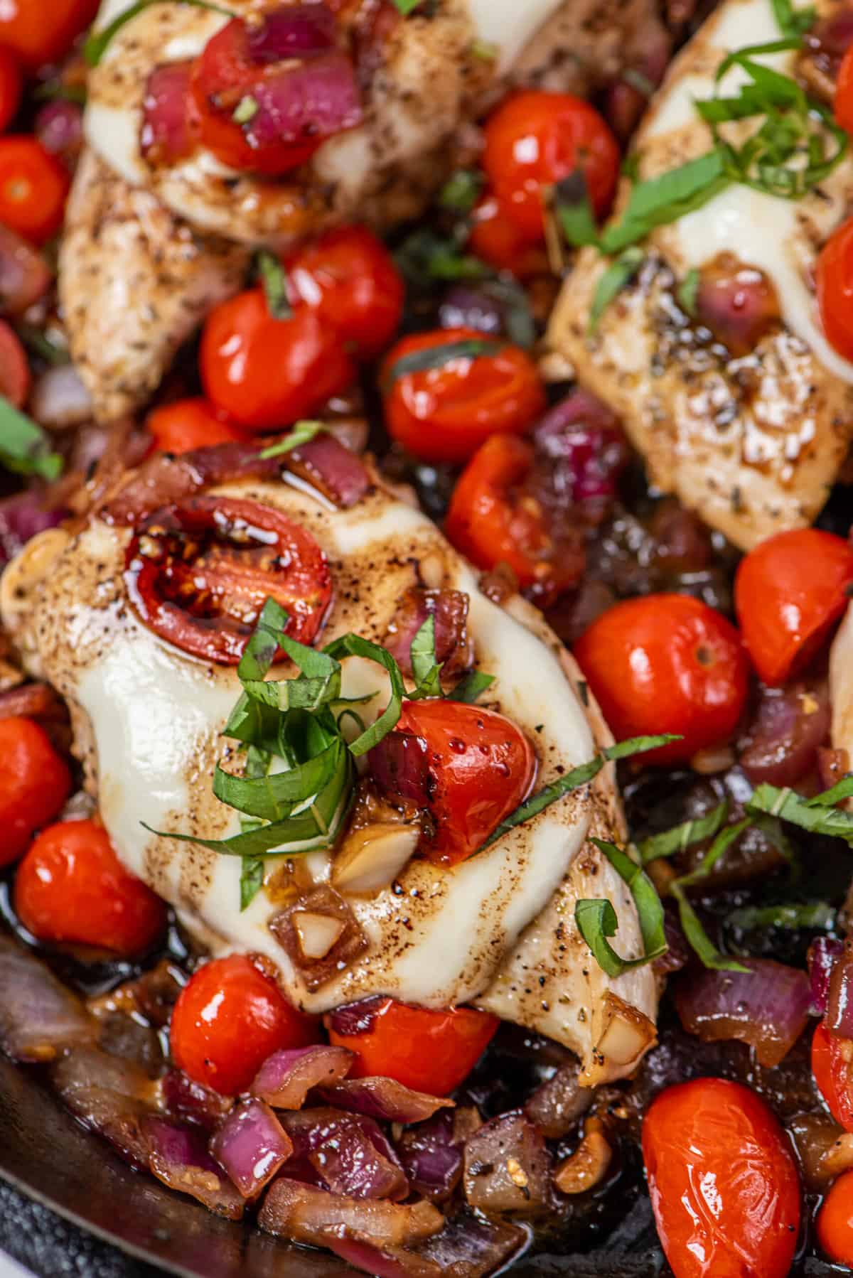 A close up photo shows cooked tomatoes, onion, chicken, and basil. 