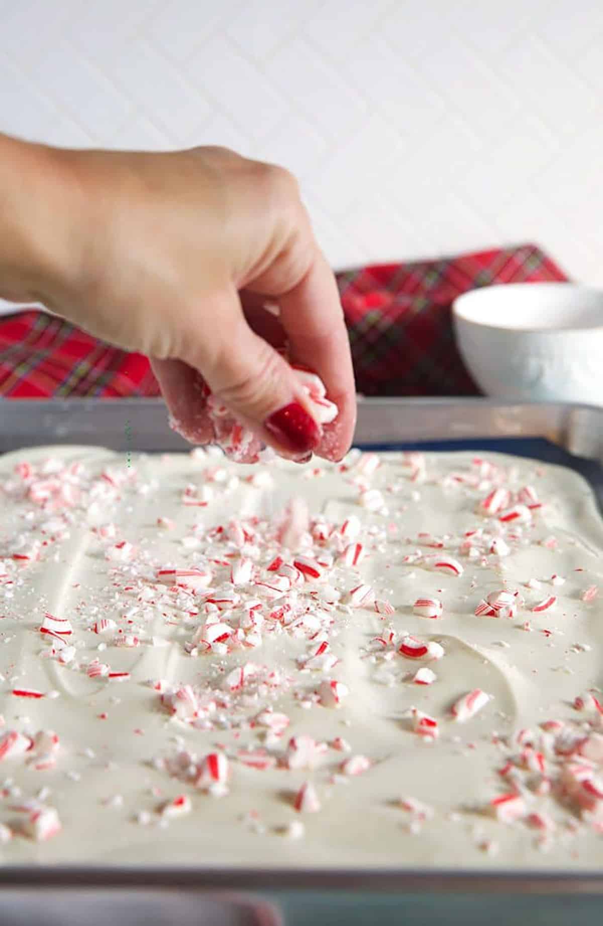 candy being sprinkled on peppermint bark.