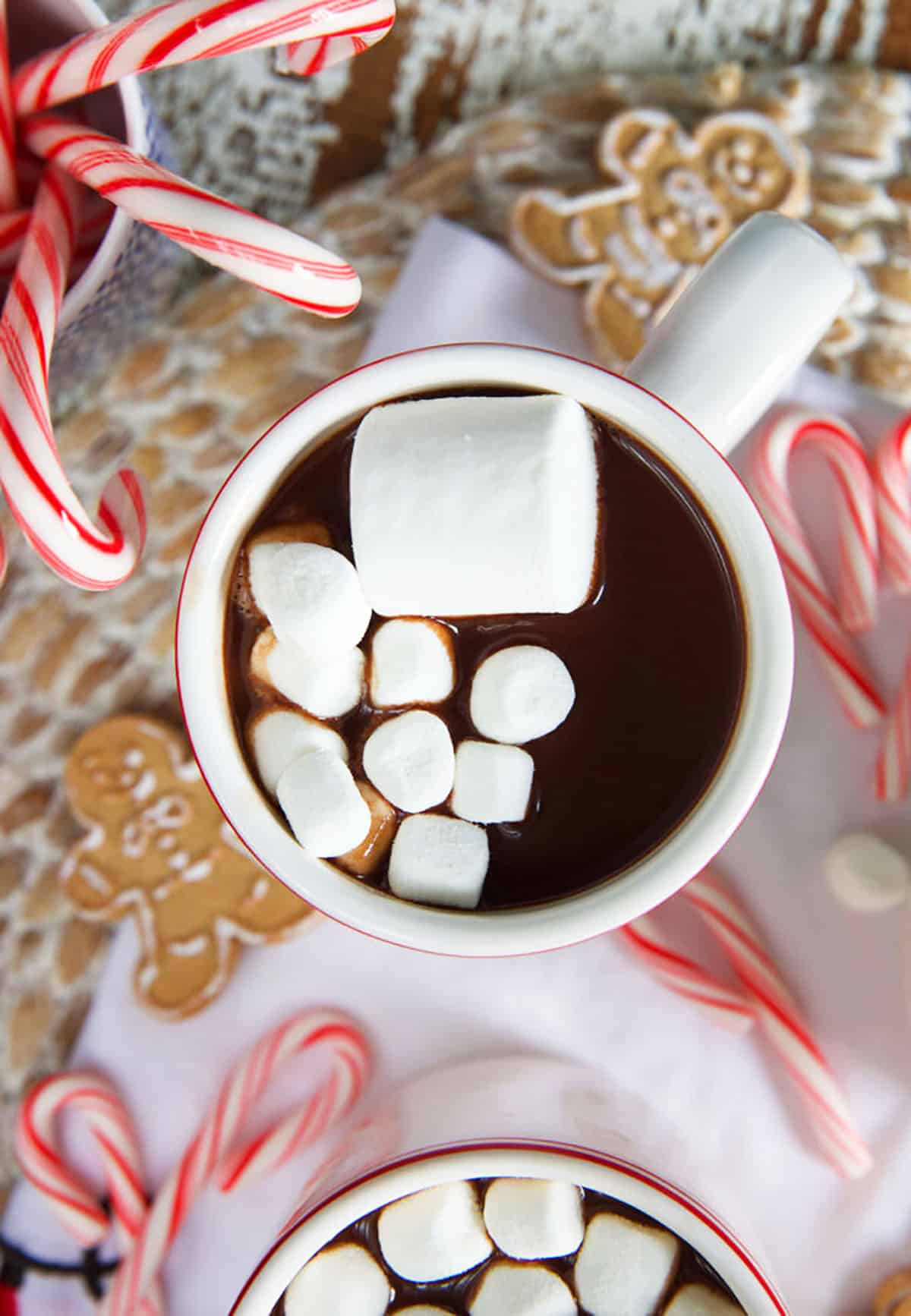 Several large and mini marshmallows are placed in a full mug of hot chocolate. 
