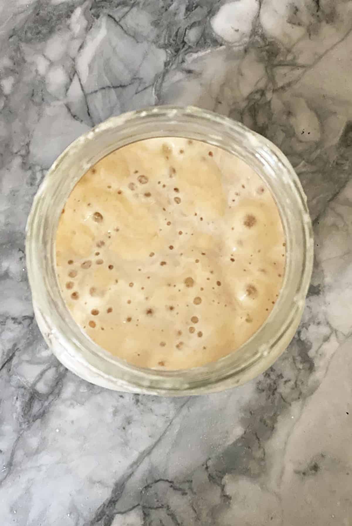 Sourdough starter with bubbles on a marble countertop.
