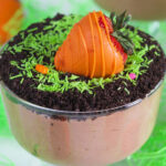 A single cup of pudding is topped with cookie crumbs, green candy, and an orange coated strawberry.