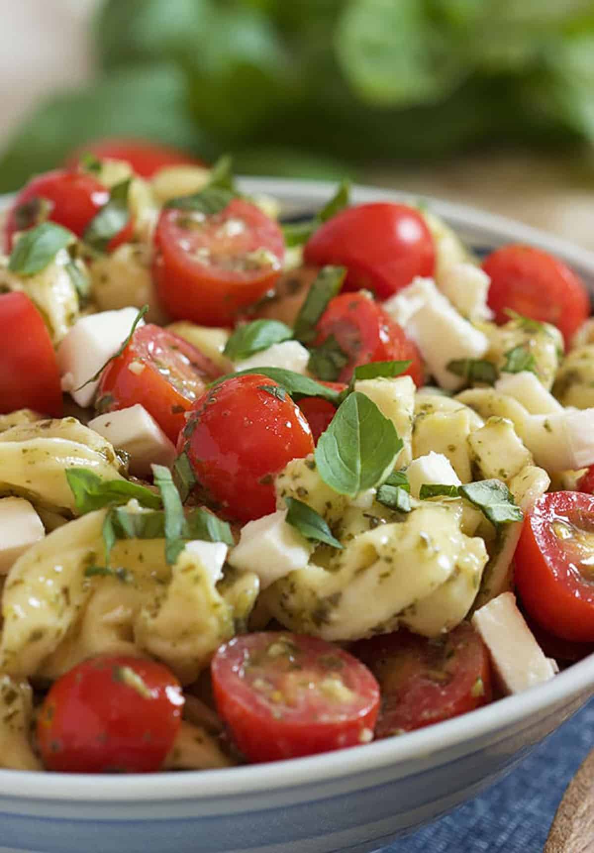 Close up of caprese tortellini salad with basil leaves on top.