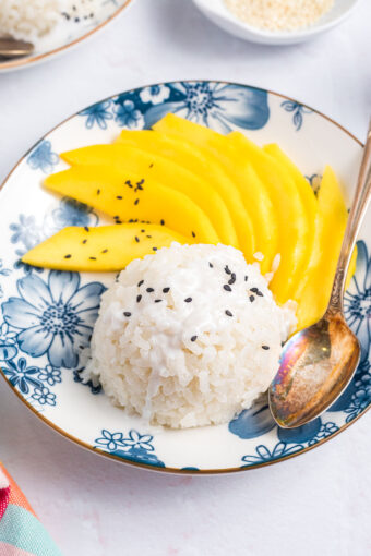 A scoop of rice is placed next to several pieces of fresh mango on a blue and white plate.