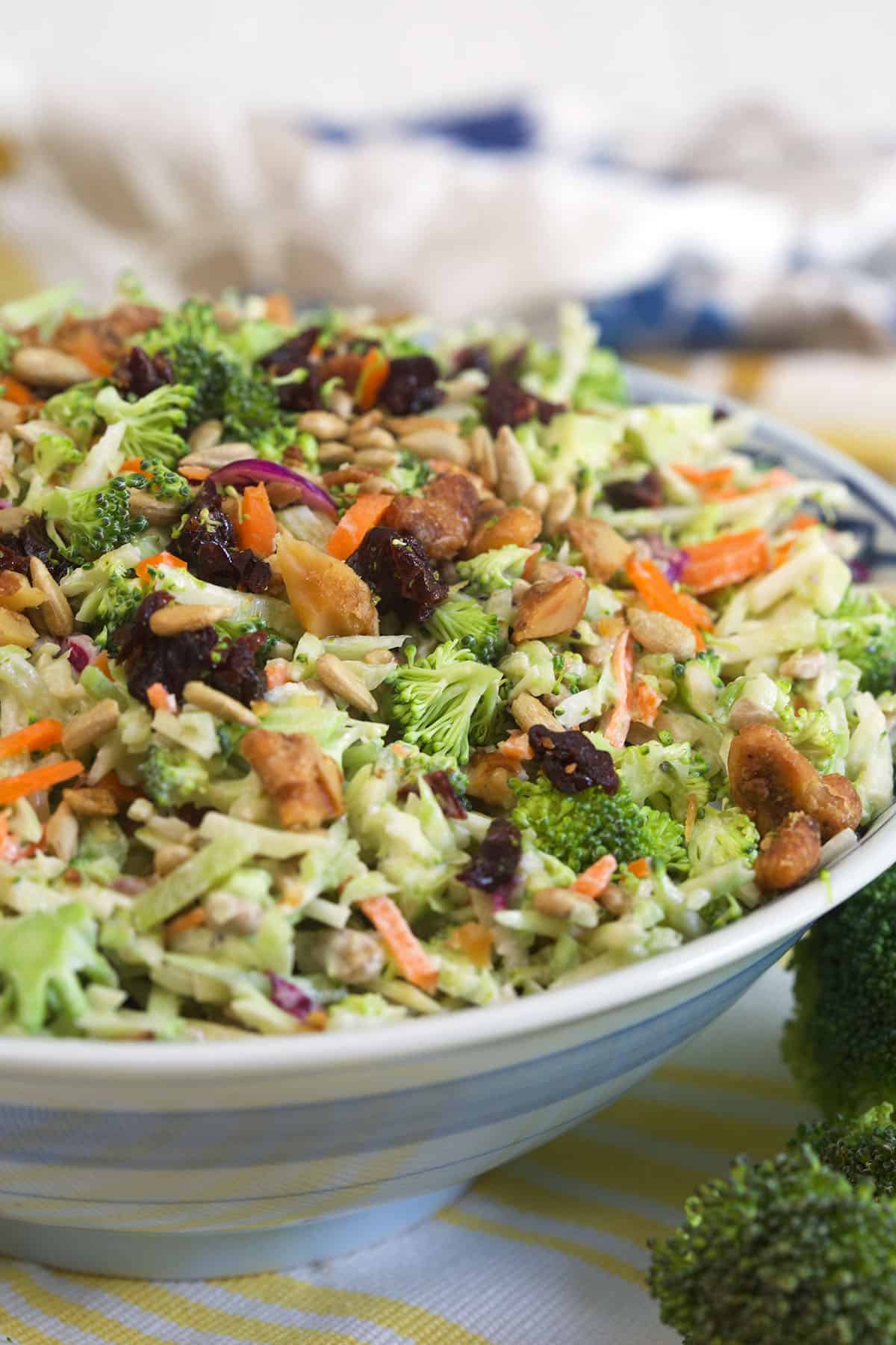 A large white bowl is filled with broccoli slaw.