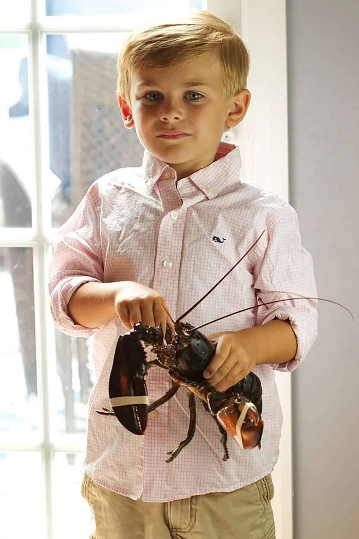 Small boy holding a live lobster