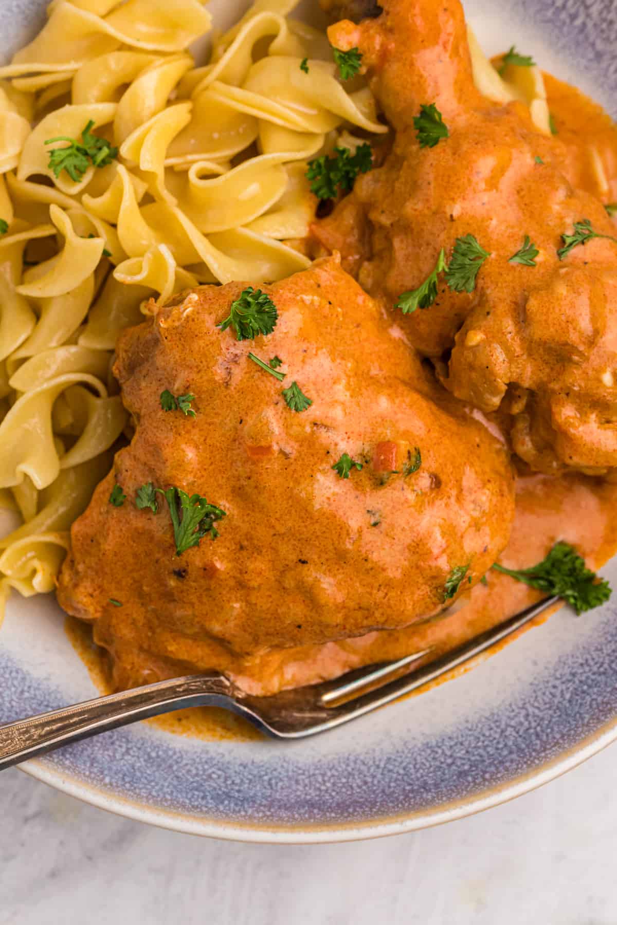 Chicken paprikash is plated with egg noodles.