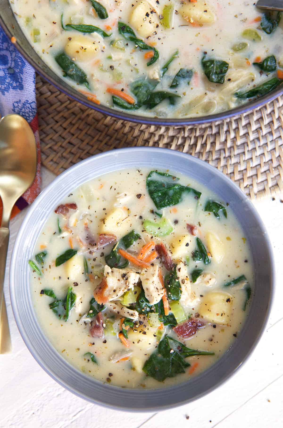 A bowl of chicken and gnocchi soup is placed next to a pot.