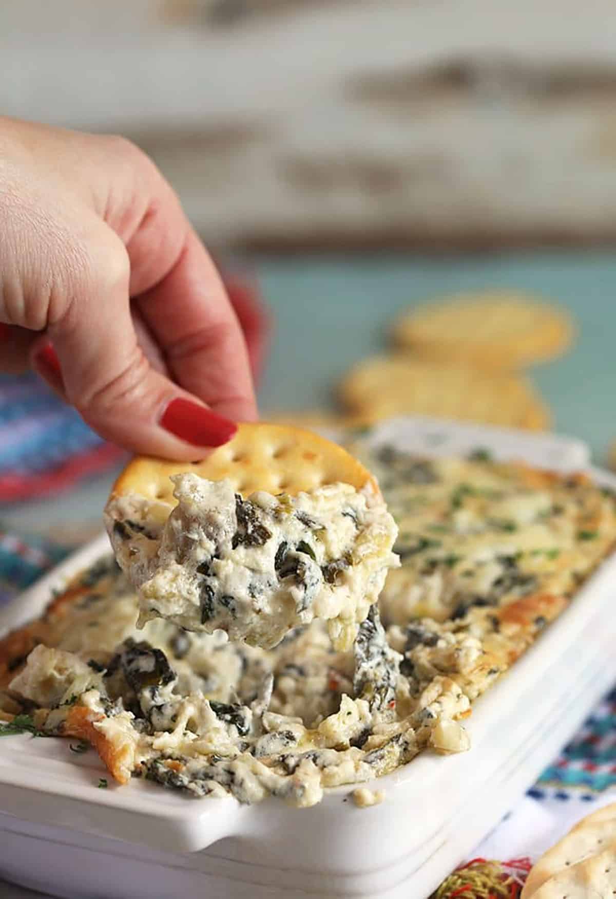 hand with a round butter cracker dipped into spinach artichoke dip